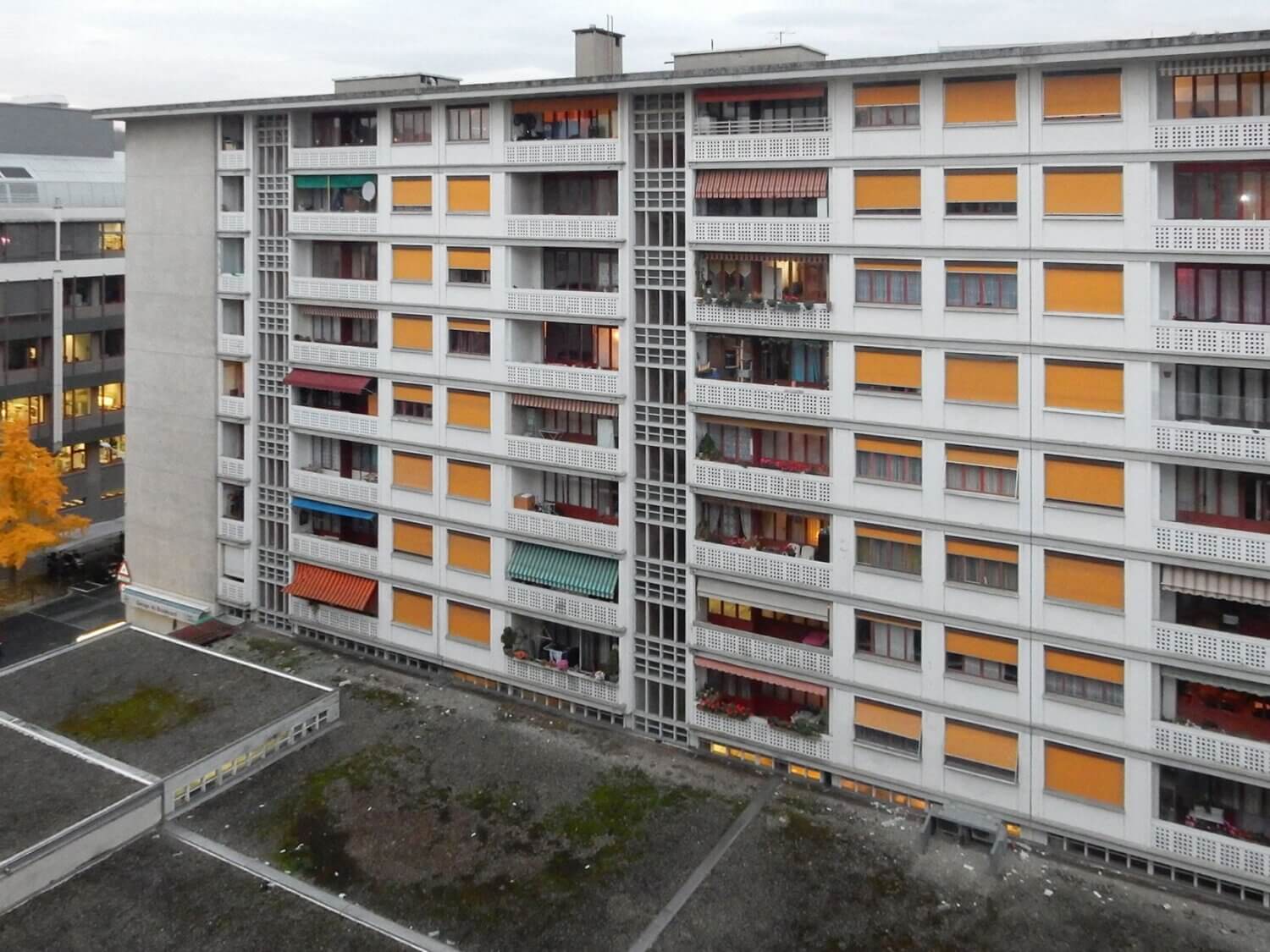 Rénovation de la Cité Carl-Vogt