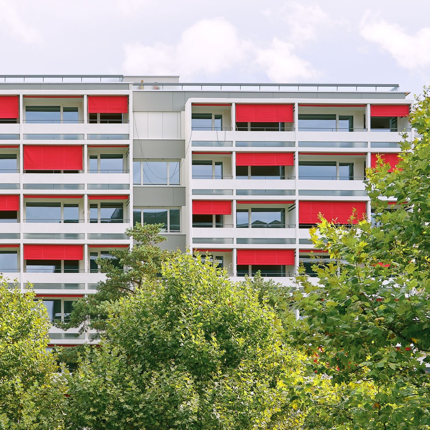 Erneuerung MFH Giacomettistrasse